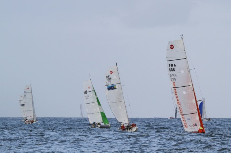 Mini Transat 2013 Sailing World