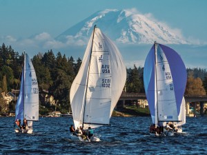 DSC08071 Sailboats racing on Lake Washington